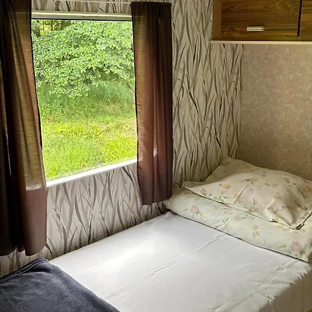 Kamp alanı Kempingowy Pod Kasztanem Strachocin