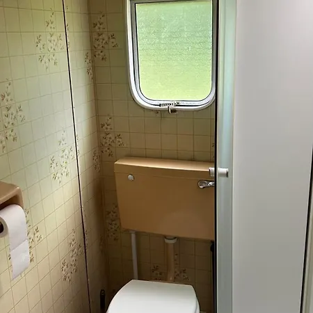 Kamp alanı Kempingowy Pod Kasztanem